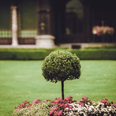 Landscaping Secrets for Boosting Property Value