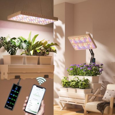 Beat the Summer Heat and Keep Your Garden Thriving Indoors with LetPot