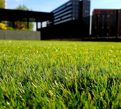 Designing Year-Round Green Spaces with Artificial Turf